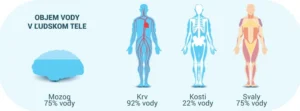 Infografika ukazujúca obsah vody v jednotlivých častiach ľudského tela: mozog (75 %), krv (92 %), kosti (22 %), svaly (75 %). Zvýrazňuje dôležitosť hydratácie pre správne fungovanie tela.