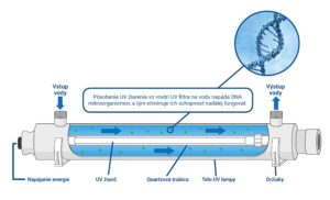 Diagram UV lampy ukazujúci proces dezinfekcie vody prostredníctvom UV-C žiarenia.